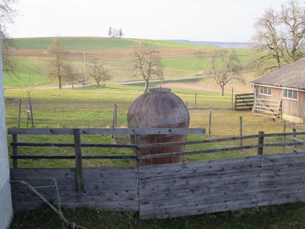 Appartamento Alpaka-Ferien Wiechs am Randen Esterno foto